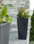 Tremont-2pk-Plastic-Black-Square-Planter-3